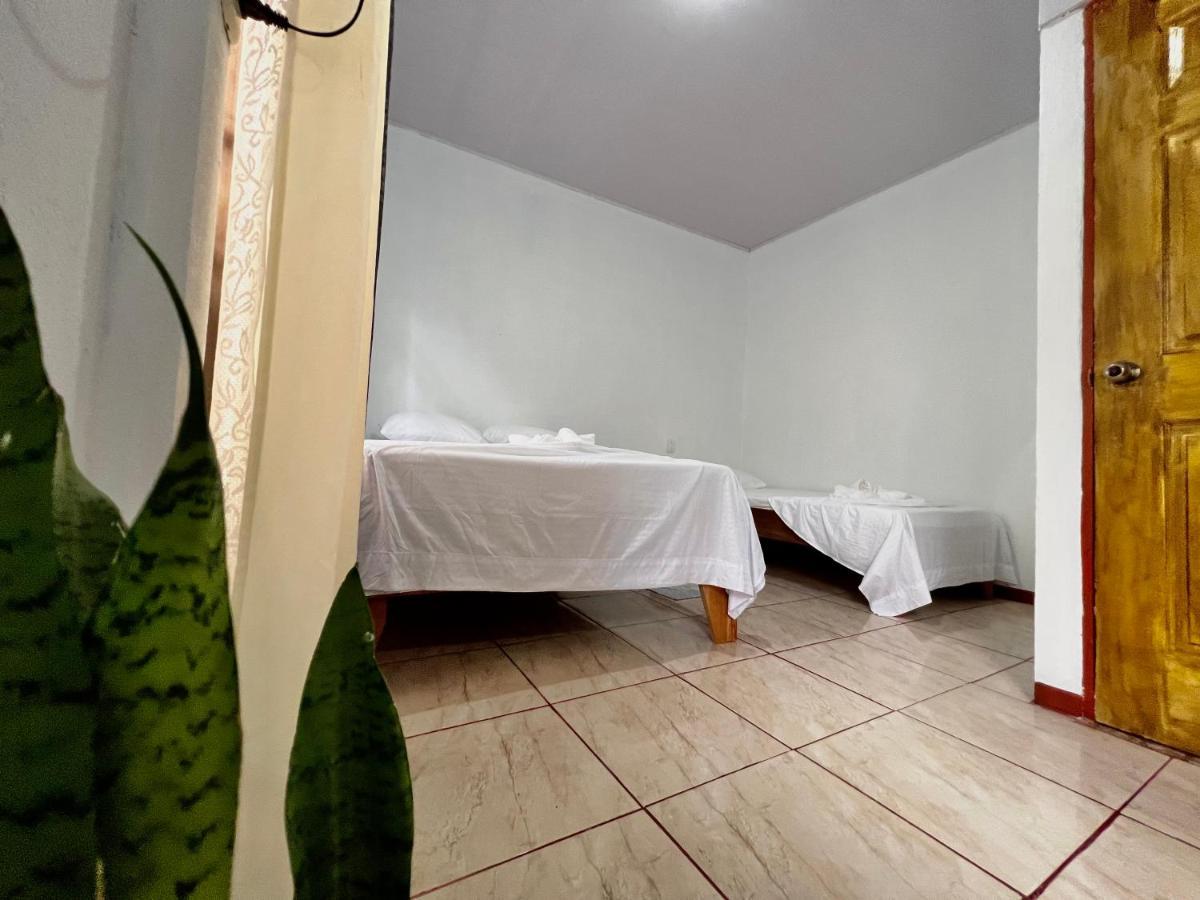 Natural Experience House Тортугеро Экстерьер фото