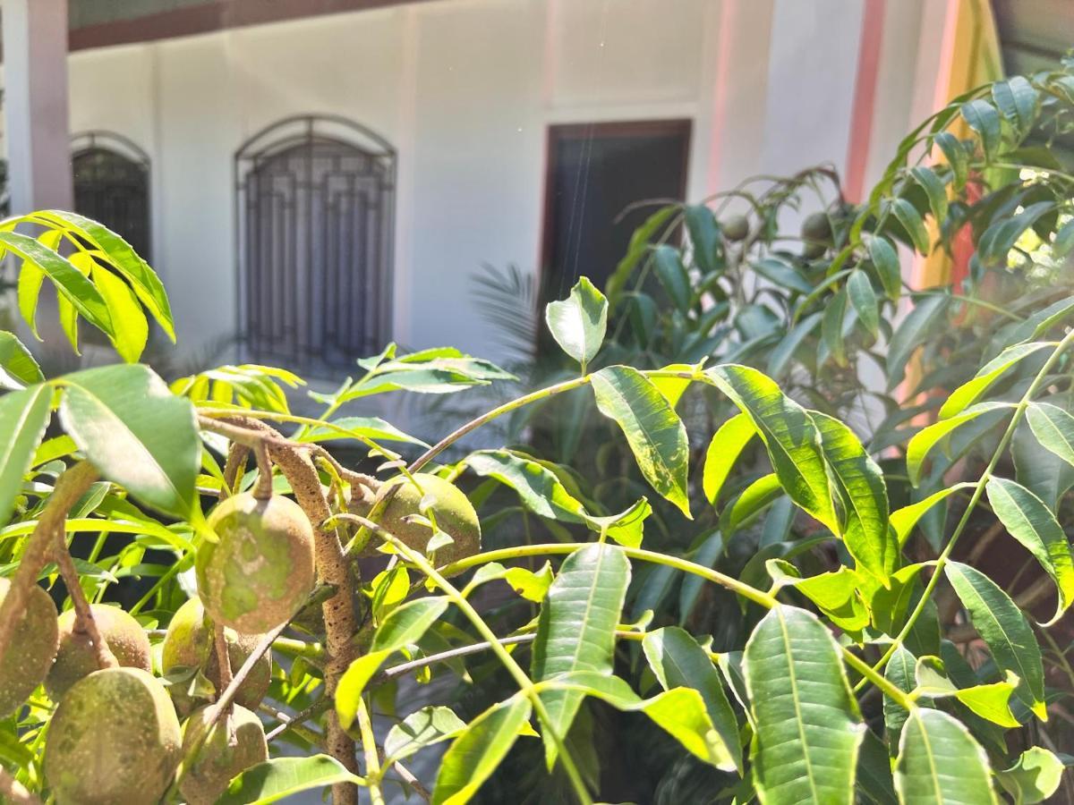 Natural Experience House Тортугеро Экстерьер фото